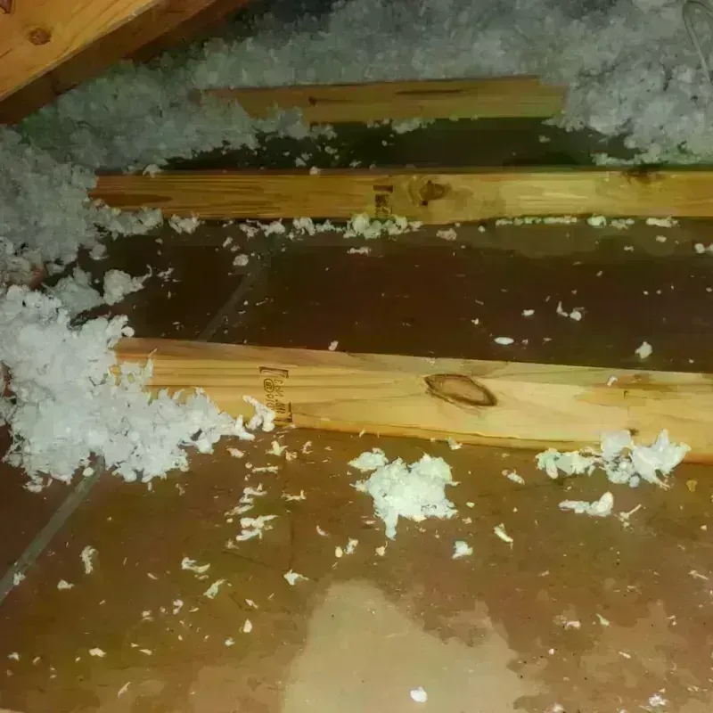 Attic Water Damage in Roselle, IL