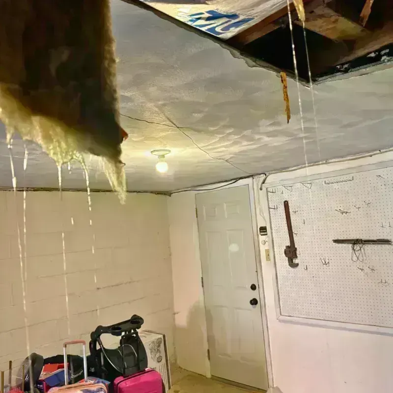 Before and after water damage restoration in Roselle, IL